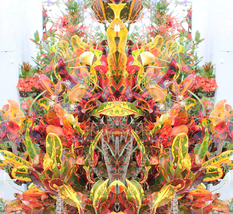 Illustration for article titled 10 Vivid Rorschach Tests, Made By Camera